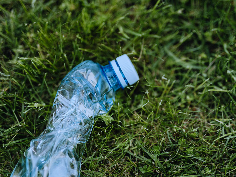 PET-Flasche im Gras